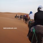 サハラ砂漠ツアー